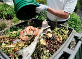 Oceanside Food Scraps Recycling 101 Save the Date