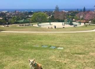 City of Vista Seeking Input on Two Proposed Parks