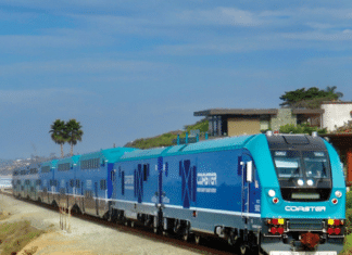 Pedestrian Struck by Coaster Train.