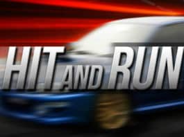 FATAL HIT AND RUN CRASH IN CARLSBAD