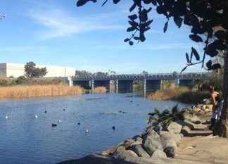 Oceanside to Receive $1 Million Grant for Wetland Restoration