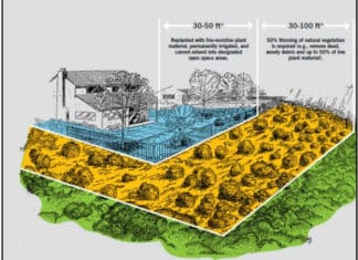 Weed/Vegetation Management in Escondido