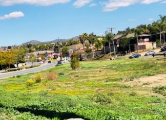 Pala Vista/Civic Center New Park