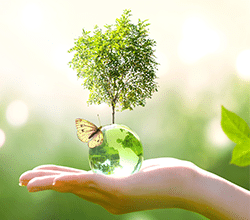 Celebrate Earth Day City of Vista Instagram Contest