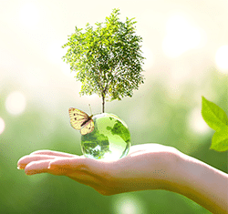 Celebrate Earth Day City of Vista Instagram Contest