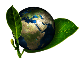 Celebrate Earth Month in Carlsbad