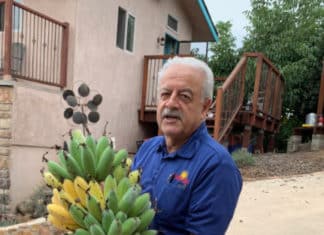 Solar For Everyday People’s Homes & Gardens