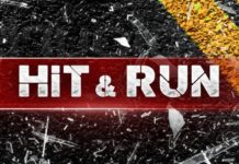 OCEANSIDE POLICE DEPARTMENT INVESTIGATES FATAL HIT-AND-RUN COLLISION