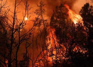 Assembly Republicans Launch Aggressive Campaign to Fight Wildfire Devastation