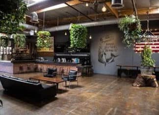 The Story of Craft Beer’s Remarkable Rise and Clustering in Vista