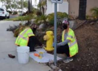 Volunteer Fire Hydrant Painting