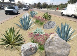 Sycamore Avenue Median Beautification Project