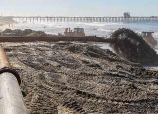 Harbor Dredging / Beach Sand Update