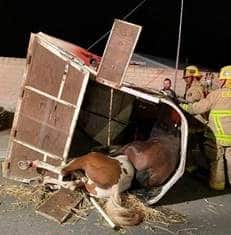 Horse Trailer Involved in Traffic Accident