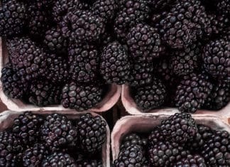 Blackberries Are Back Baby!