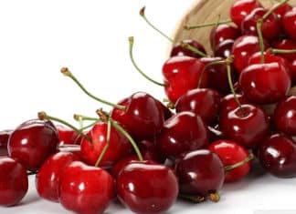 Stone Fruits Have Arrived at the State Street Market