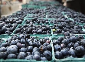 Incredible Bounty At The Farmers’ Market