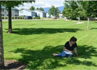 Stay Cool During the Weeklong Heatwave