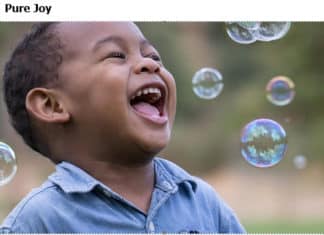 Amateur Photography Contest Winning Entries