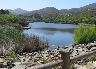 Lakeview Park Maintenance Closure