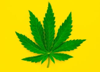 Cannabis Equity Assessment