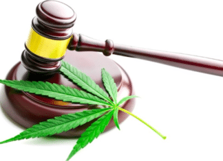 Vista City Council Reviewing Appeal of Riverside County Dispensary License