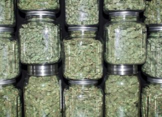 Illegal Marijuana Dispensary – Spring Valley
