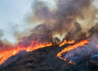 Escondido Fire Department Updates