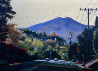 Juried Biennial at Cannon Art Gallery