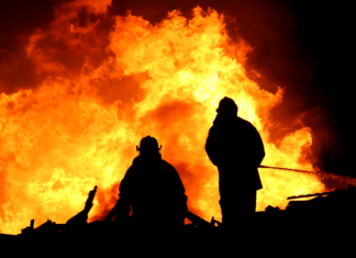 Create a Wildfire Action Plan