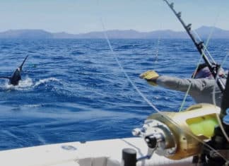 Two Oceanside Fishing Captains Rated Among Best in the World