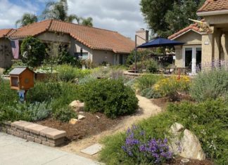 City of Escondidio’s WaterSmart Landscape Winners