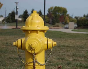 Escondido Volunteer Fire Hydrant Painting Event