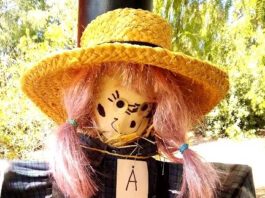 Fall Fun Festival at Alta Vista Botanical Gardens – CALL for VENDORS