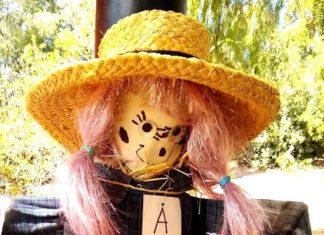 Fall Fun Festival at Alta Vista Botanical Gardens – CALL for VENDORS