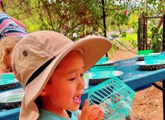 Bubbles and Boats: Using and Saving Water