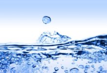 North County Invited to Exclusive Lunch & Learn on AB 1572 & Upcoming Water Changes