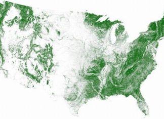 Middle America Has More Farmland Than Trees