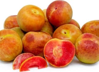 Pluot: A Stone Fruit Like No Other