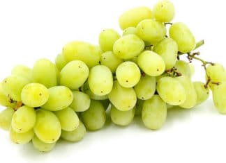 Princess Seedless Grapes Have Arrived!