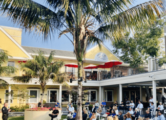 Village Voices Brings Together Businesses and Residents