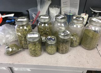 Illegal Marijuana Dispensary – Spring Valley
