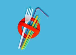 Carlsbad Working on Single-use Plastics Ban, other Sustainability Initiatives