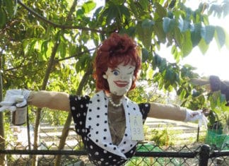 Fall Fun Festival at Alta Vista Botanical Gardens – Our Best Ever!