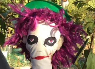 Fall Fun Festival this Saturday at Alta Vista Botanical Gardens