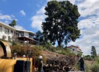 Defensible Space in Fire Prone San Diego County