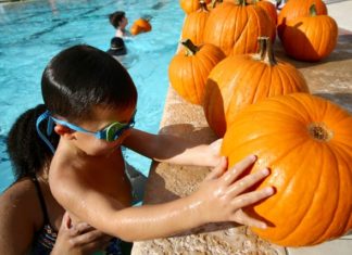 Go Dunkin’ for Pumpkins This Saturday at the Wave Waterpark
