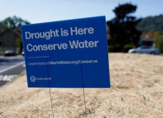 What the Statewide Drought Emergency Means for Carlsbad