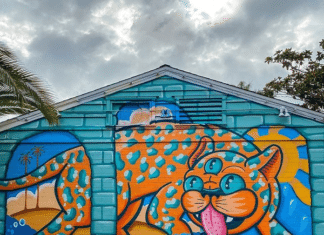 Carlsbad Art Wall’s Funny Feline Delights All