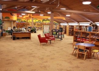 Escondido Public Library Survey